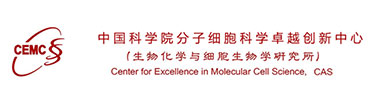 中国科学院上海生物化学与细胞生物学研究所